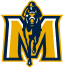 To team logo