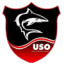 From team logo
