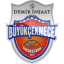 From team logo