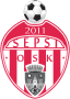 To team logo