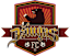 From team logo