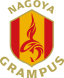 From team logo