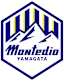 To team logo