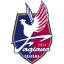 To team logo