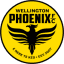 From team logo