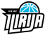From team logo