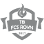 From team logo