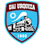 From team logo
