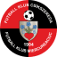 From team logo