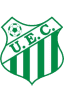 From team logo