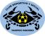 From team logo