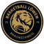 From team logo