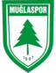 To team logo