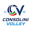 From team logo