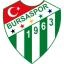 From team logo