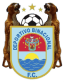 From team logo