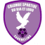 From team logo