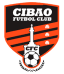 From team logo