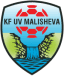 From team logo