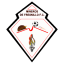 From team logo