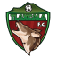From team logo