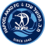 From team logo