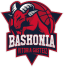 To team logo