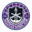 From team logo
