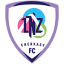 From team logo