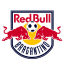 To team logo
