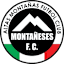 From team logo