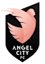 From team logo