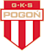 To team logo