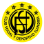 From team logo