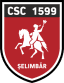 To team logo