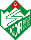 From team logo