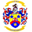 From team logo