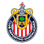 From team logo