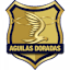 From team logo
