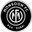 From team logo