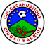 From team logo