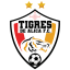 From team logo