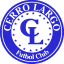 To team logo
