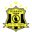 From team logo