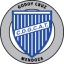 From team logo