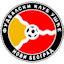 To team logo