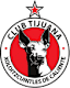 From team logo