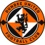 From team logo