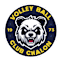 From team logo