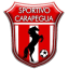 To team logo